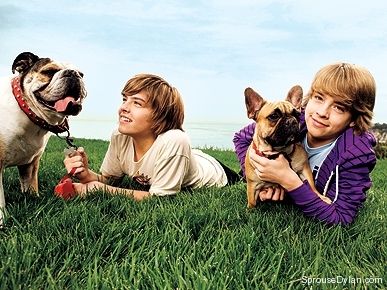 dylan-and-cole-sprouse-dogs.jpg
